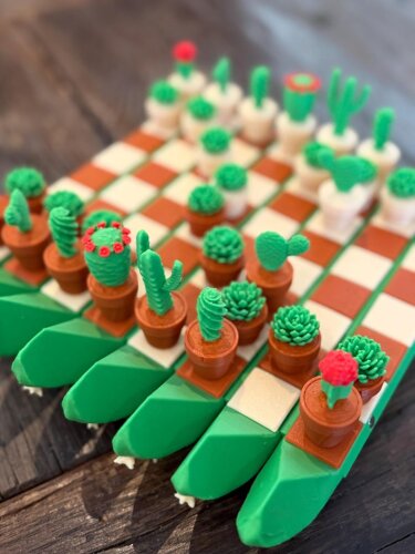 Kaktus-Schach – Verstaut im Blumentopf! Fertig...